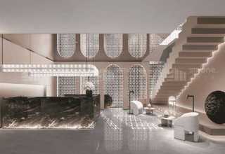 广州BD空间转录组数据分析