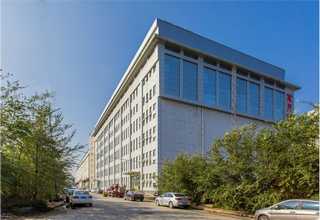 广东批发鱼胶煲汤