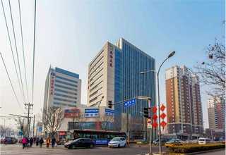 宁夏柑橘树苗有些什么新品种