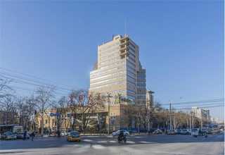 石家庄20多岁开始脱发怎么办