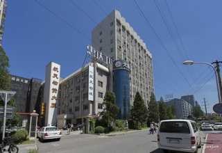 洮南凤仙花批发