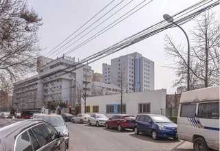 奉贤区商场绿植花卉装饰