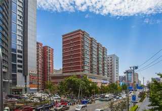 河北医用宠物重症监护笼一般多少钱