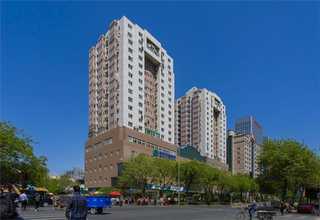 滨湖区ktv灭老鼠服务